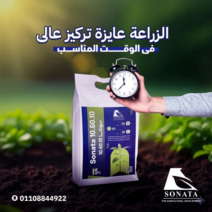 سوناتا 10/50/10