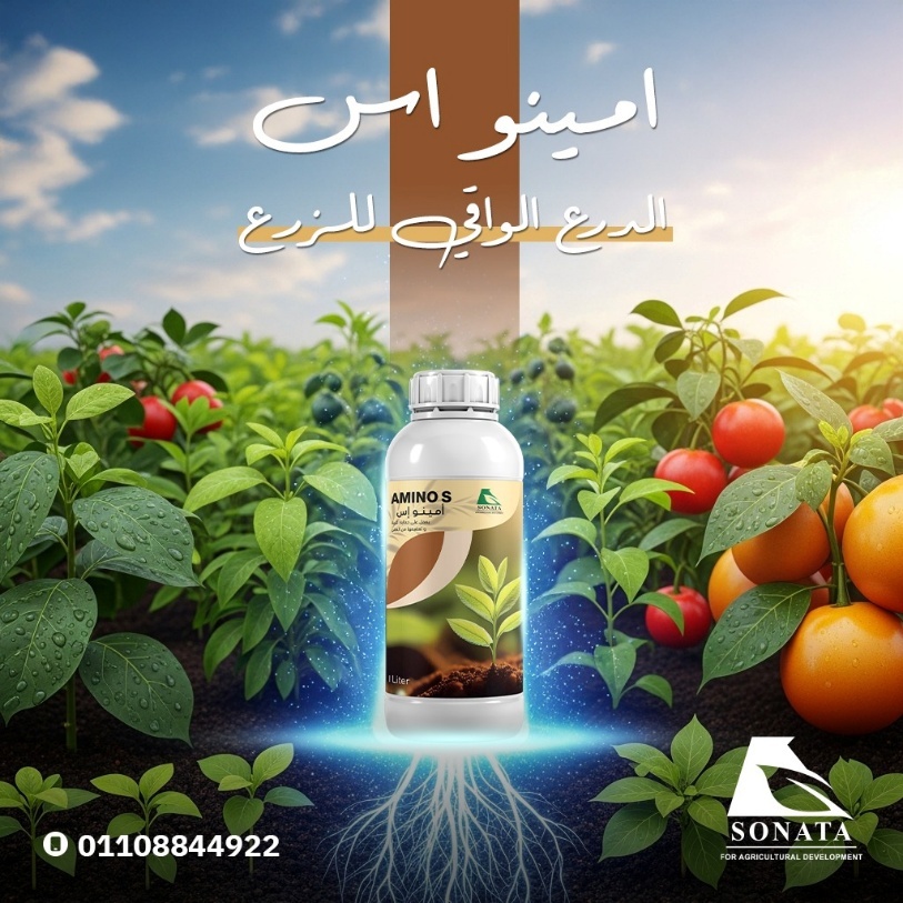 أمينو إس