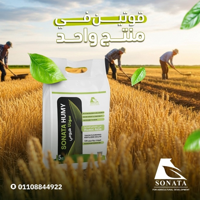 سوناتا هيومي