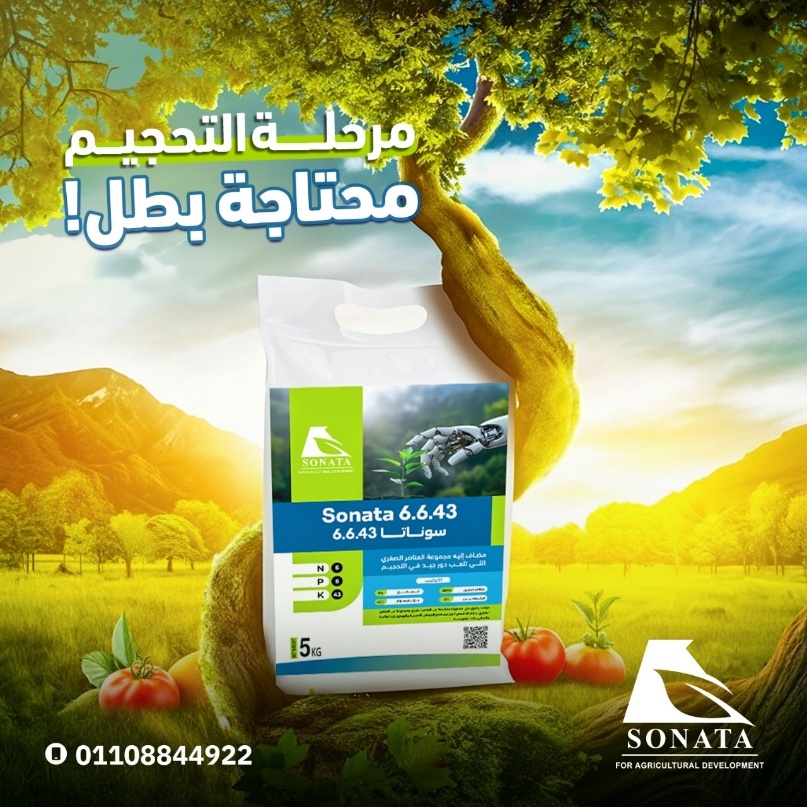 سوناتا  NPK 6-6-43